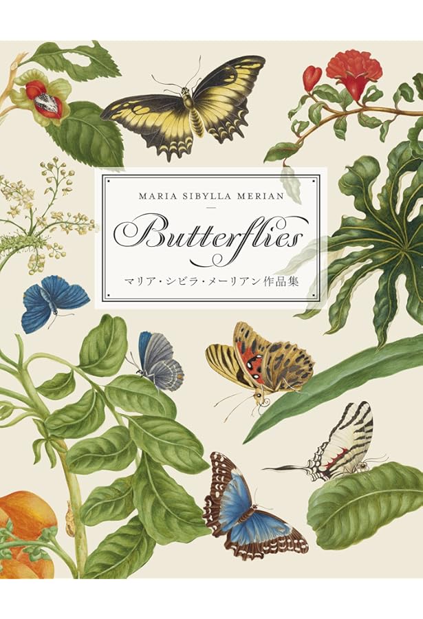 スリナム産昆虫変態図譜1726年版 | マリーア・ズィビラ・メーリアン